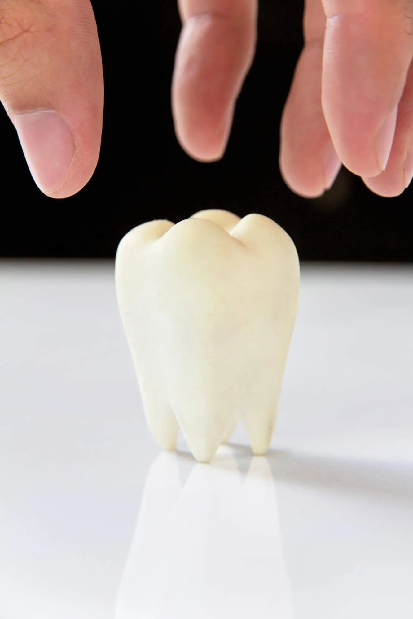 descubre las coronas y puentes dentales en torrelodones